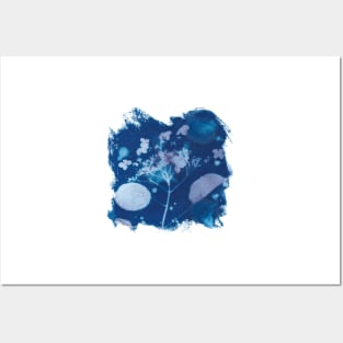 Cyanotype sunprint hydrangea indigo blue Posters and Art